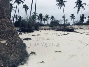 Beach Plot for Sale in Zanzibar, Dongwe Bwejuu