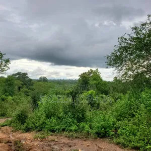 Shamba Ekar 100 Linauzwa Kijiji Cha Mkange, Miono Bagamoyo