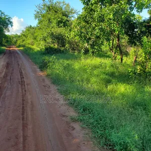 Shamba Ekar 100 Linauzwa Kijiji Cha Mkange, Miono Bagamoyo