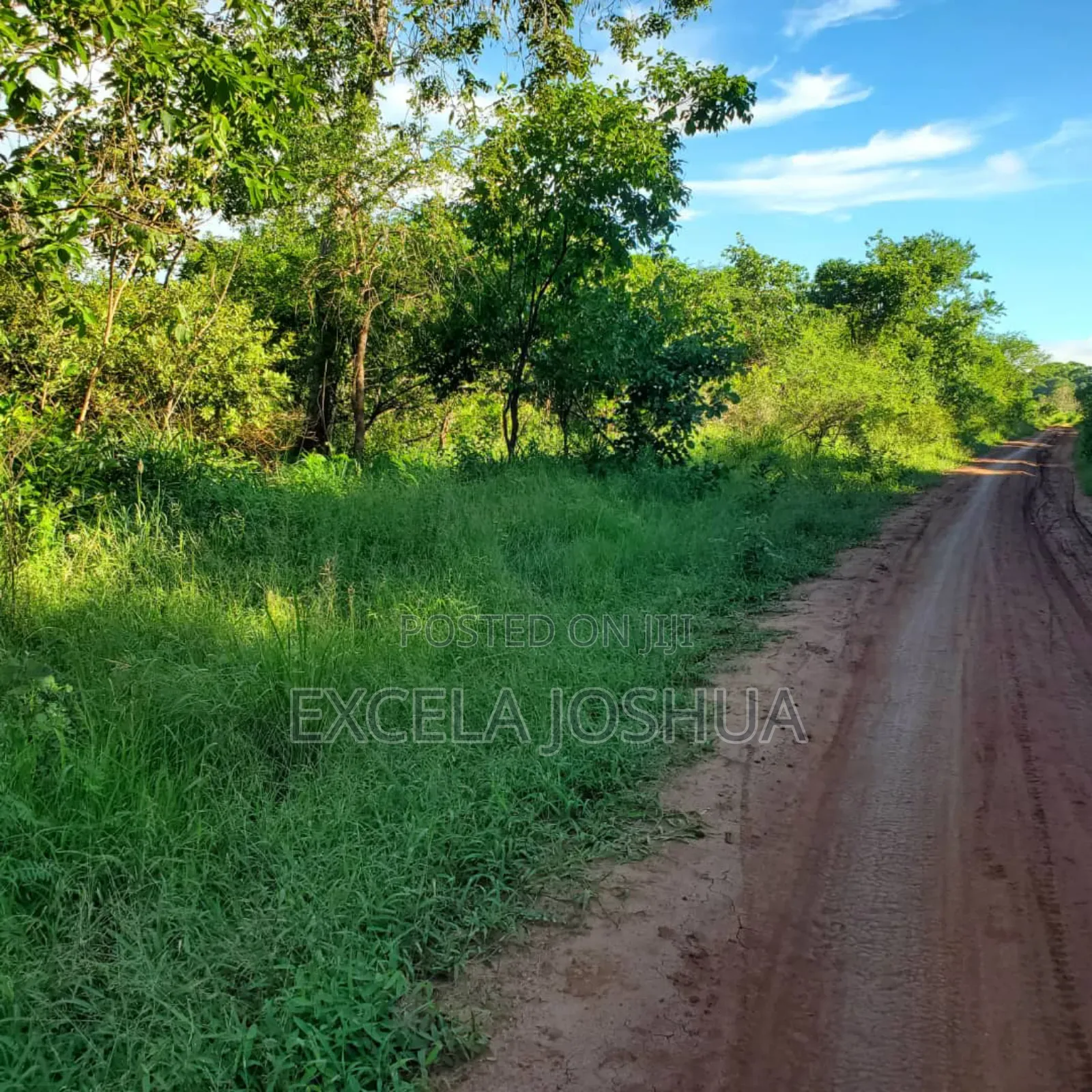 Shamba Ekar 100 Linauzwa Kijiji Cha Mkange, Miono Bagamoyo