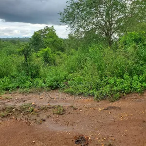 Shamba Ekar 100 Linauzwa Kijiji Cha Mkange, Miono Bagamoyo
