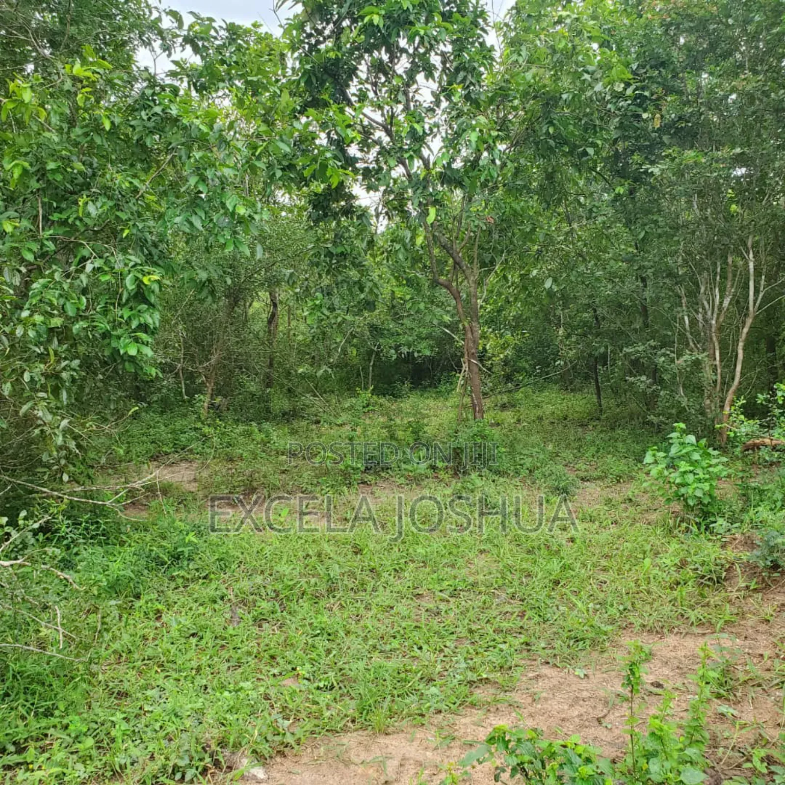 Shamba Ekar 100 Linauzwa Kijiji Cha Mkange, Miono Bagamoyo