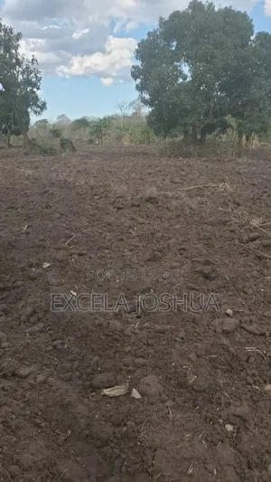 Shamba Ekari 100 Limegusa Main Road Linauzwa Mbwewe Bagamoyo