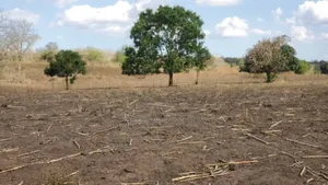Shamba Ekari 100 Limegusa Main Road Linauzwa Mbwewe Bagamoyo