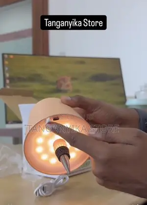 Bed Side Lamp