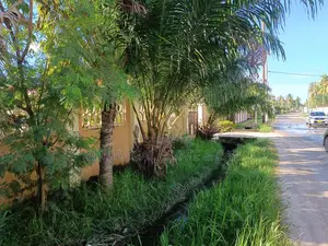 Plot for Sale for Investors in Dar Es Salaam, Migombani Road