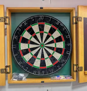 Professional Dartboard