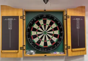 Professional Dartboard