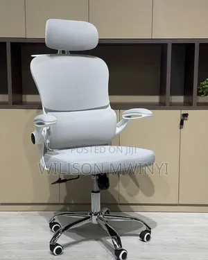 Ergonomic Chair