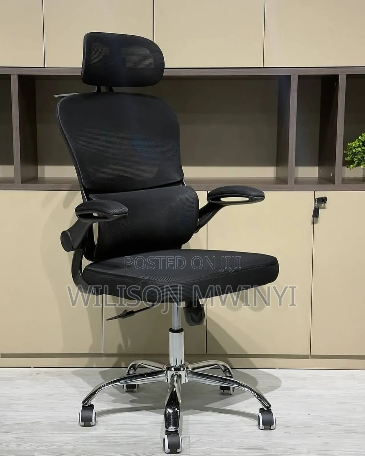 Ergonomic Chair