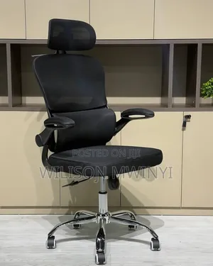 Ergonomic Chair