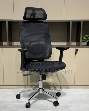 Ergonomic Chair