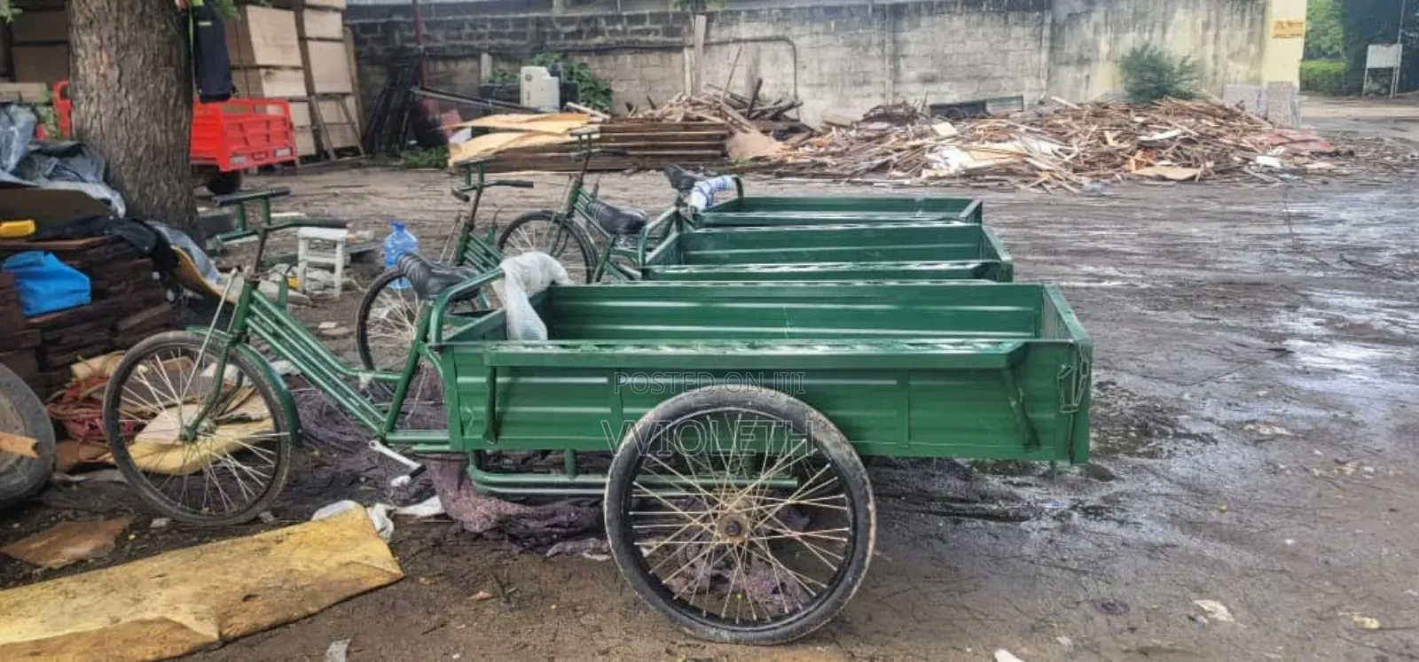 New TVS 2025 Green