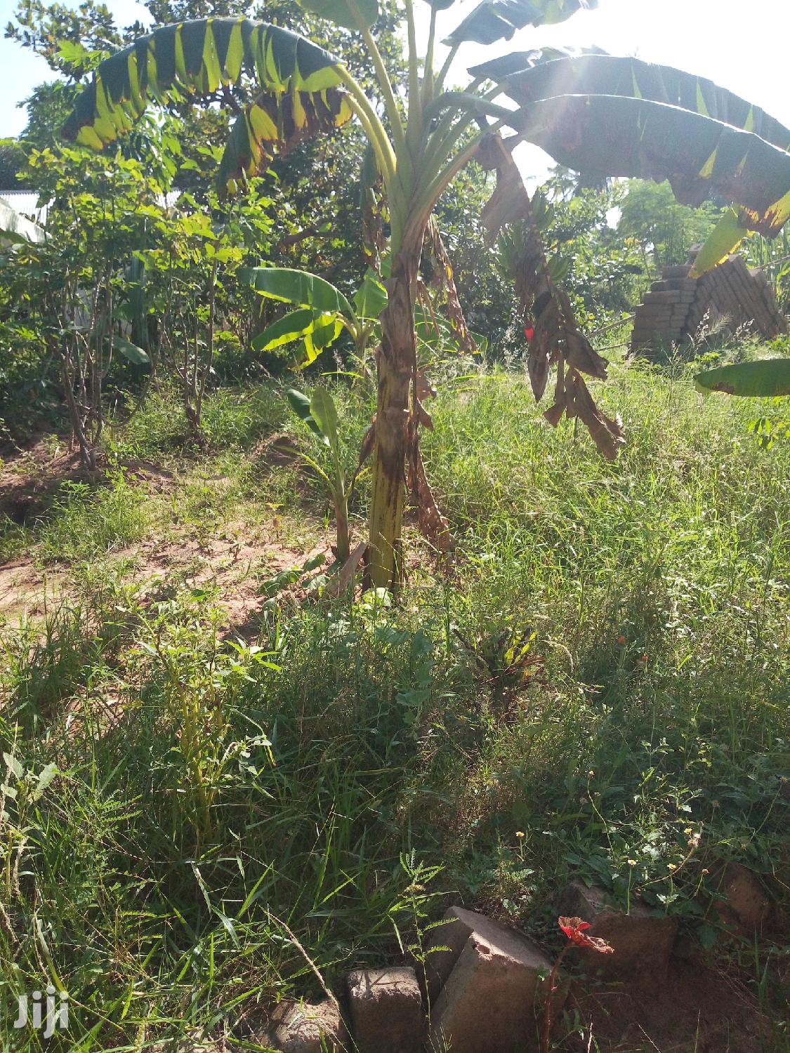 A House For Sale At Kibaha