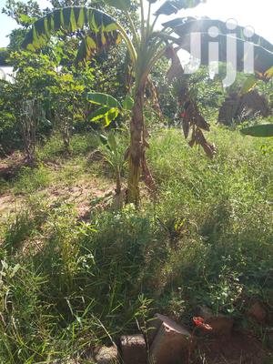 A House For Sale At Kibaha
