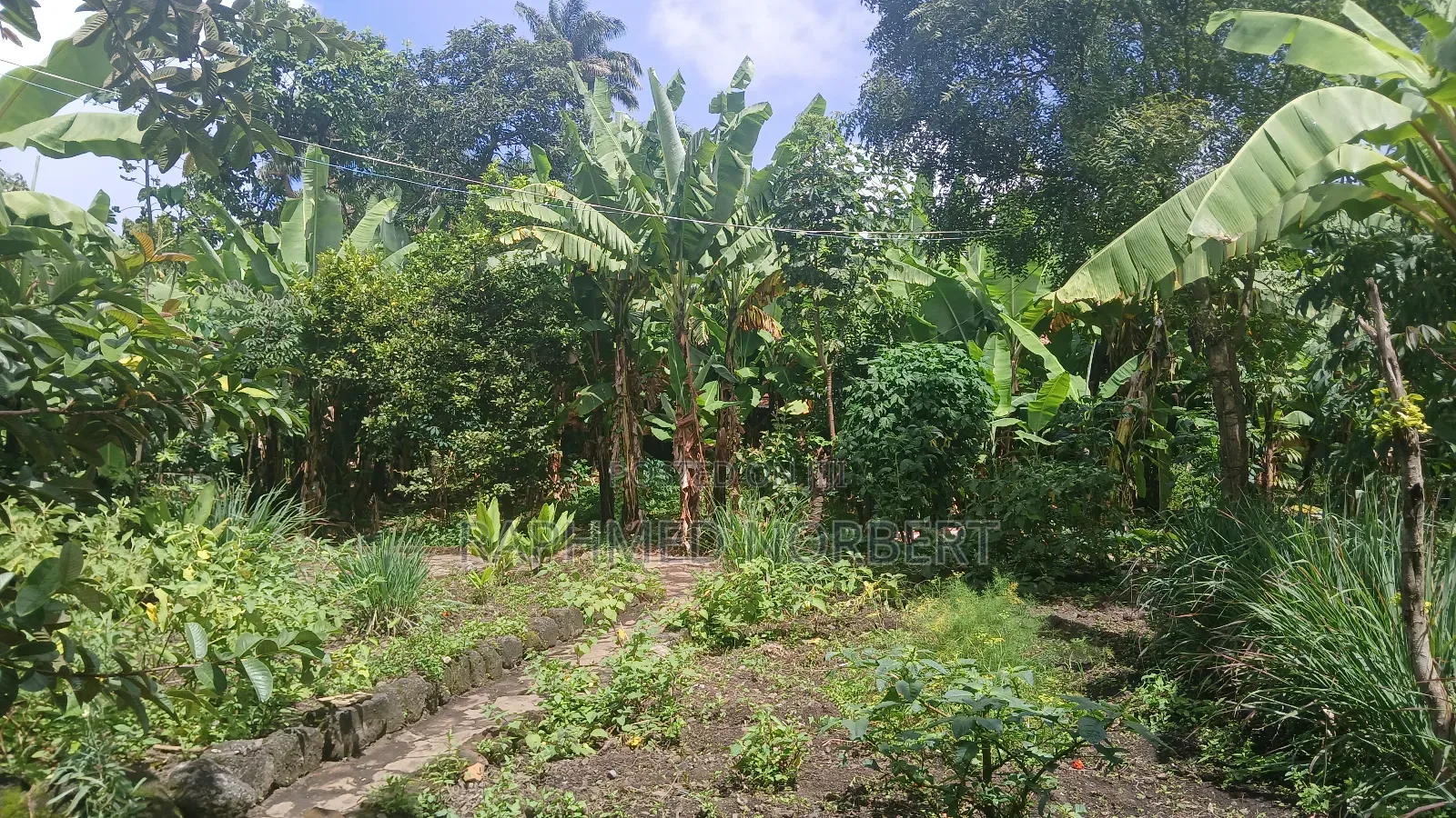 3bdrm House in Tanzania Realestates, Arusha for sale