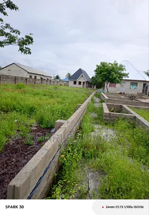 Kiwanja Sqmita 450 Kinauzwa Milioni 11 Ukonga Bombambili.