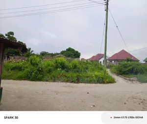 Kiwanja Sqmita 500 Kinauzwa Milioni 12.5 Ukonga Bombambili.