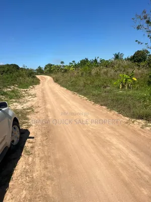 10 Acres Farm for Sale at Mkuranga TSH 270,000,000