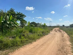 10 Acres Farm for Sale at Mkuranga TSH 270,000,000