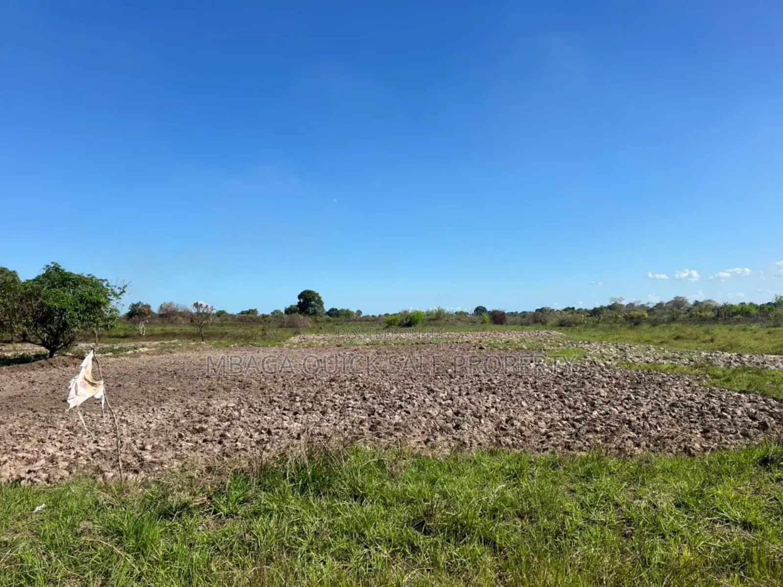 10 Acres Farm for Sale at Mkuranga TSH 270,000,000