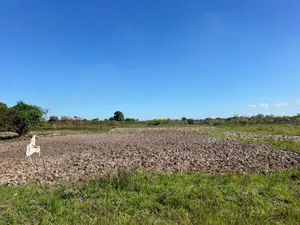 10 Acres Farm for Sale at Mkuranga TSH 270,000,000