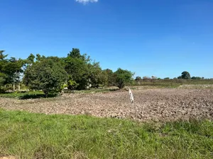 10 Acres Farm for Sale at Mkuranga TSH 270,000,000