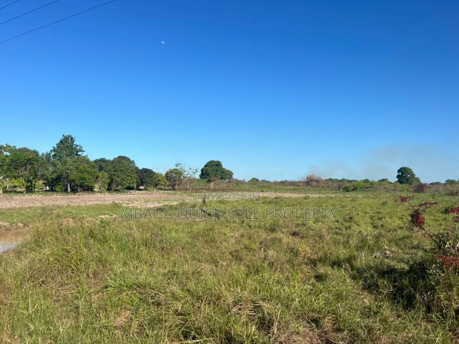 10 Acres Farm for Sale at Mkuranga TSH 270,000,000