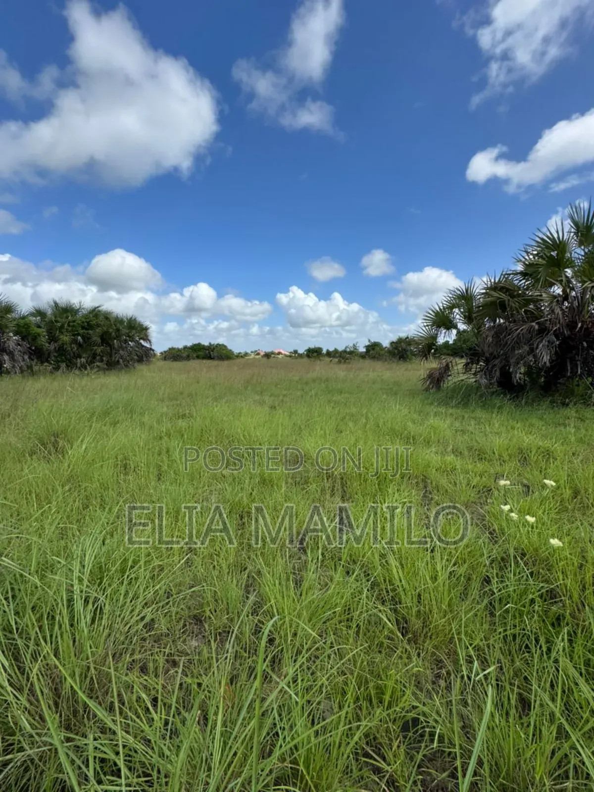 Commercial Plot for Sale in Kigamboni Cheka