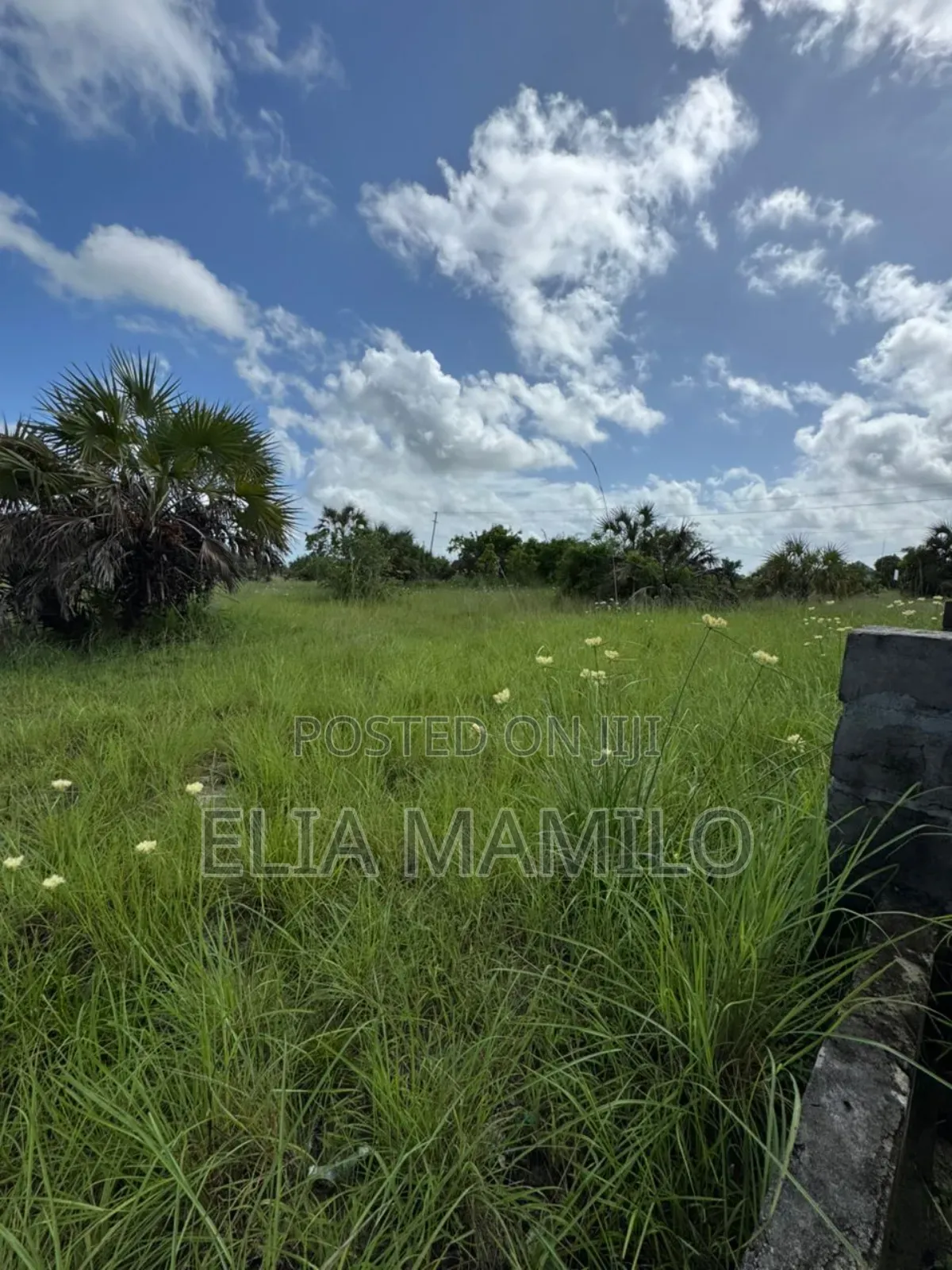 Commercial Plot for Sale in Kigamboni Cheka