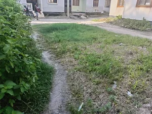 Polot for Sale