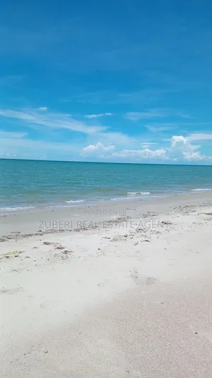 Mafui Near Saadani Park Beach Plot on Sale.