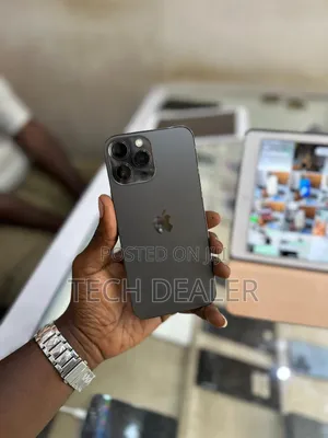 Apple iPhone 13 Pro Max 256 GB Gray