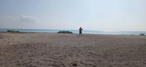 Beach Plot for Sale at Jambiani Zanzibar