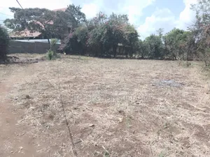 Kiwanja Kinauzwa Moshi Himo
