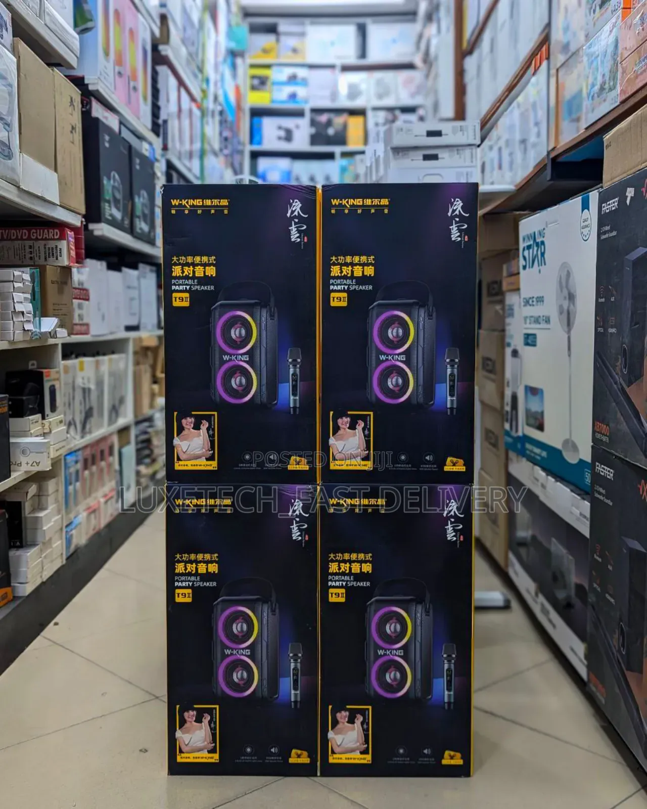 W-King T9-2 Portable Party Speaker With a Microphone