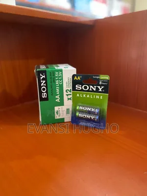 Alkaline Aa Battery