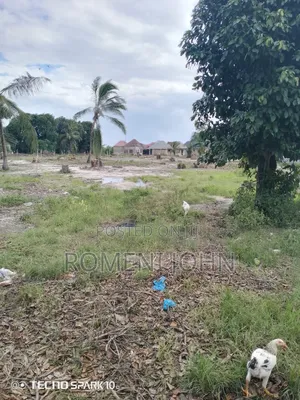 Kiwanja Kinauzwa Milioni 5.4 Ukonga Majohe Rada.