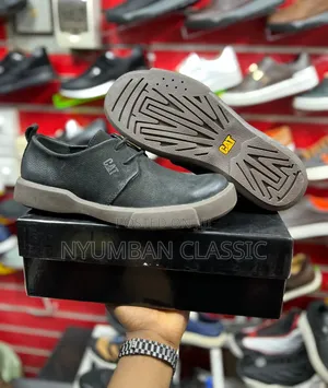 Low Cut Caterpillar Shoes