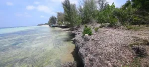 Beach Plot for Sale at Zanzibar