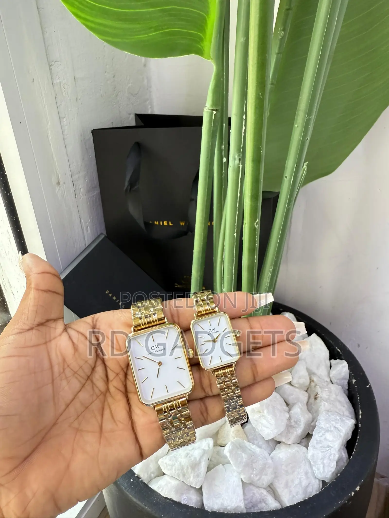 Dw Watches