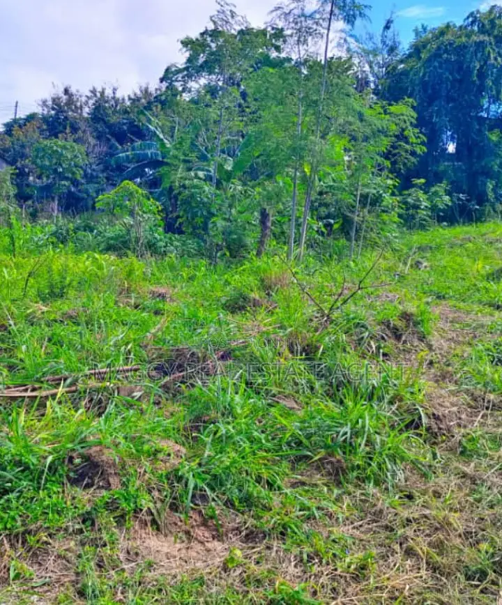 739 SQMTS Plot in Kigamboni