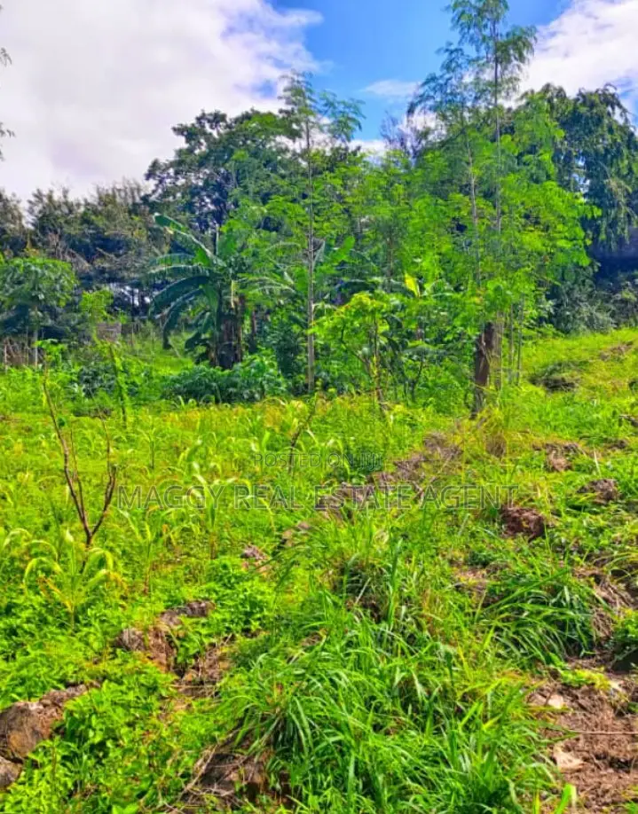 739 SQMTS Plot in Kigamboni