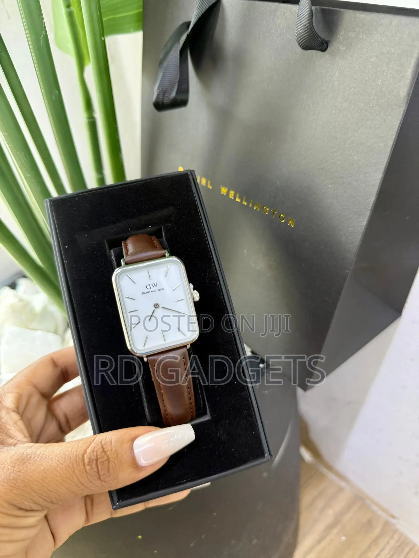 Dw Watches