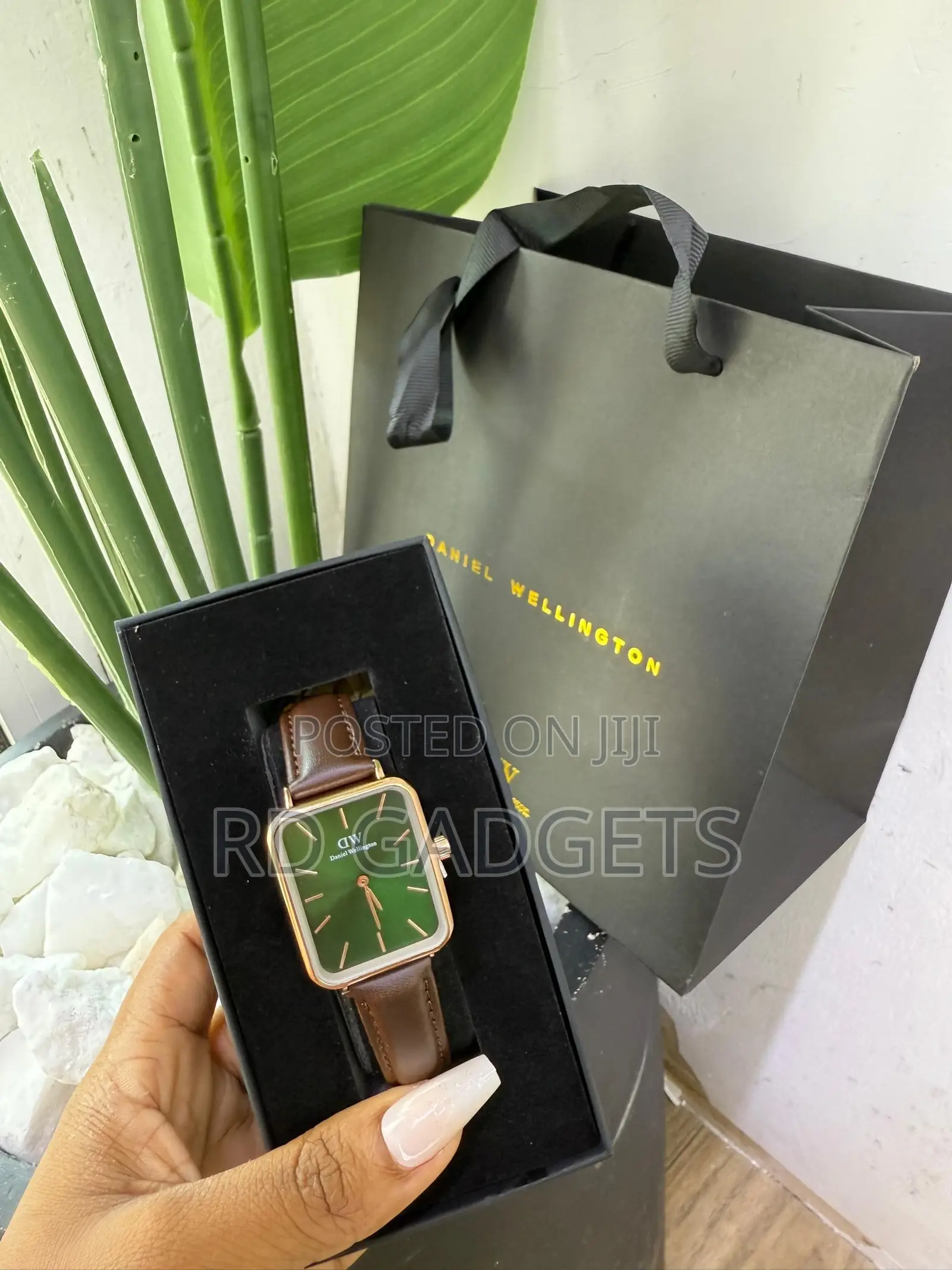 Dw Watches