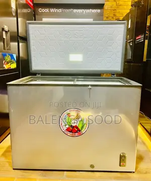 SPJ Freezer* 300 LTR