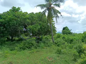 Shamba (Farm) for Sale Fukayosi Bagamoyo Pwani Region