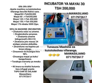 Mashine Za Kuangulia Vifaranga