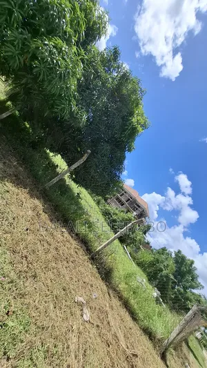 Corner Plot at Mbweni and House Inside