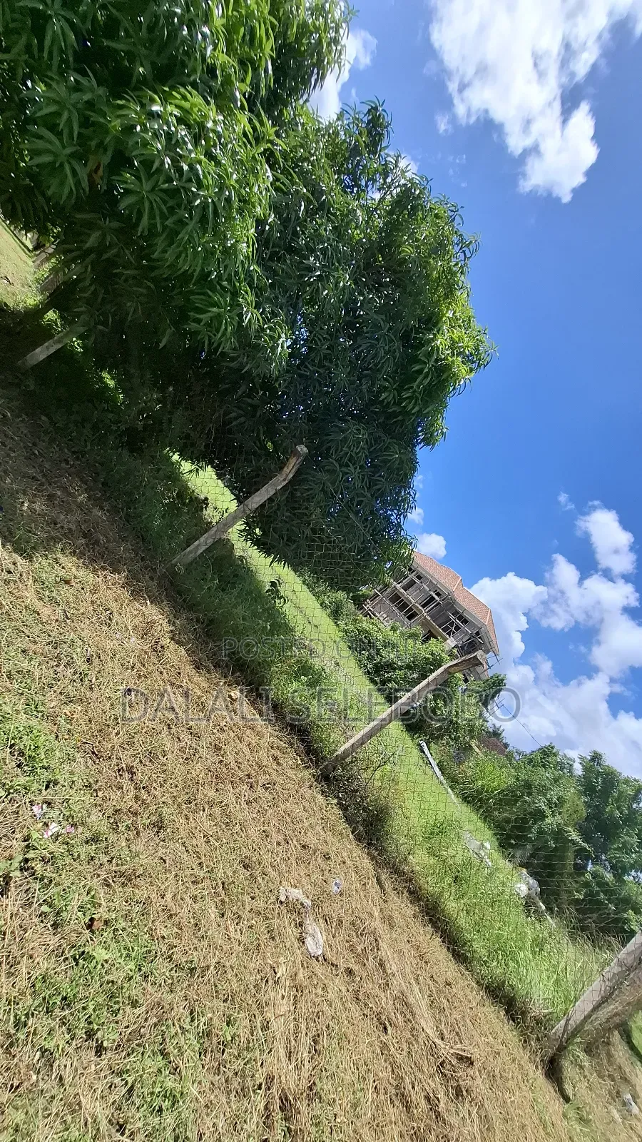 Corner Plot at Mbweni and House Inside